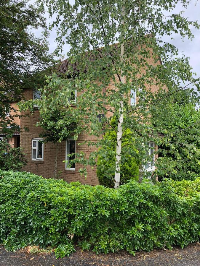 Rowan Tree Willa Aylesbury  Zewnętrze zdjęcie
